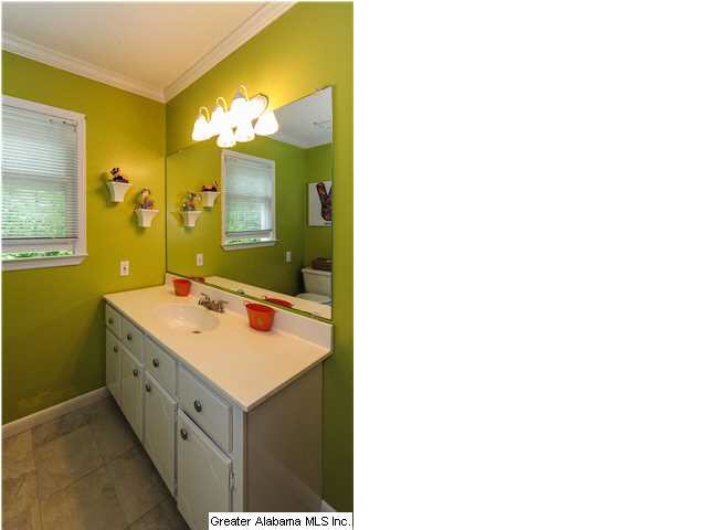 378 Shadow Stone Lane Oneonta, AL 35121 - Photo 16 of 22