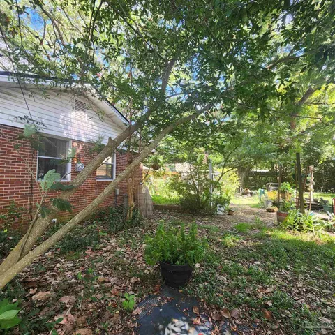 a backyard of a house with lots of green space