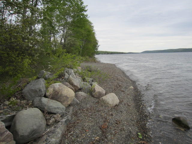 661 Lake Shore Road St. David, ME 04773 - Photo 8 of 15 IMG_5022