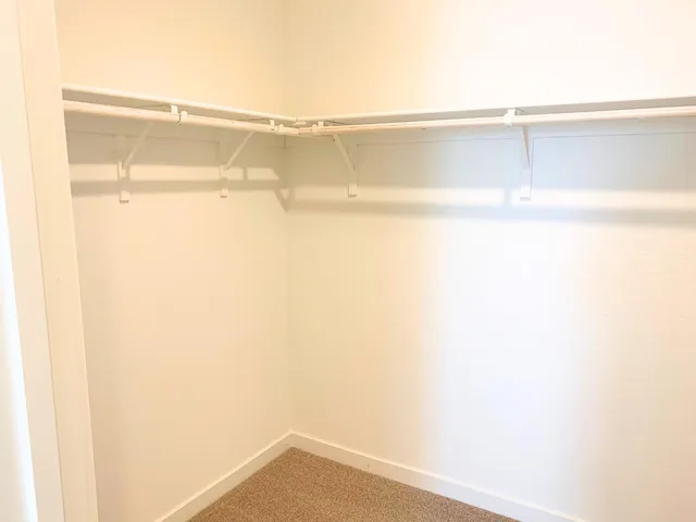 a close up of a shower