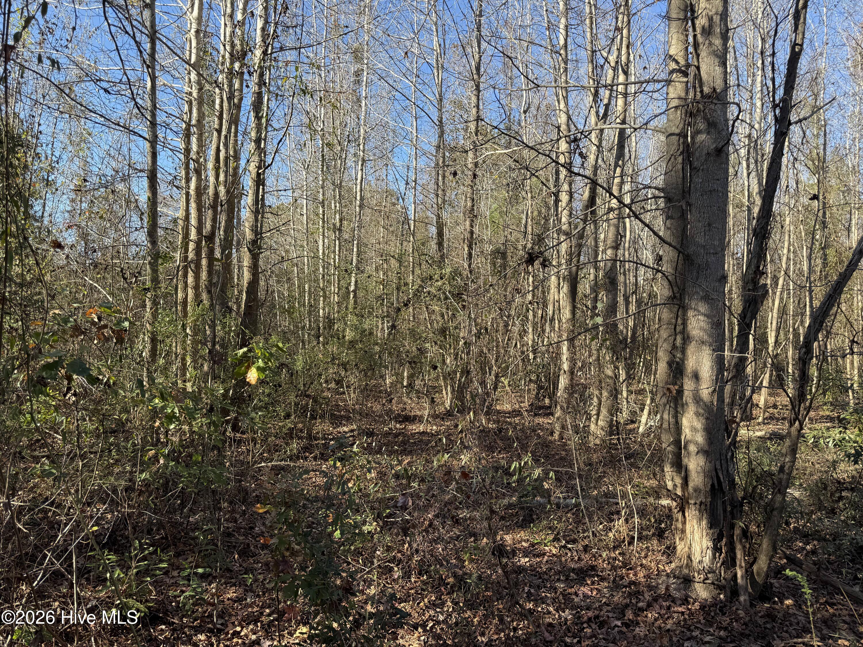 4758 Princess Ann Road Chadbourn, NC 28431 - Photo 28 of 35 Image 28