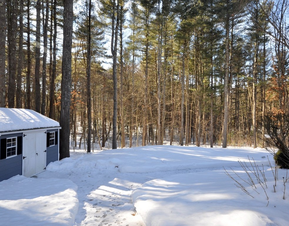 65 Spring Road Concord, MA 01742 - Photo 20 of 22 Gallery Image 20
