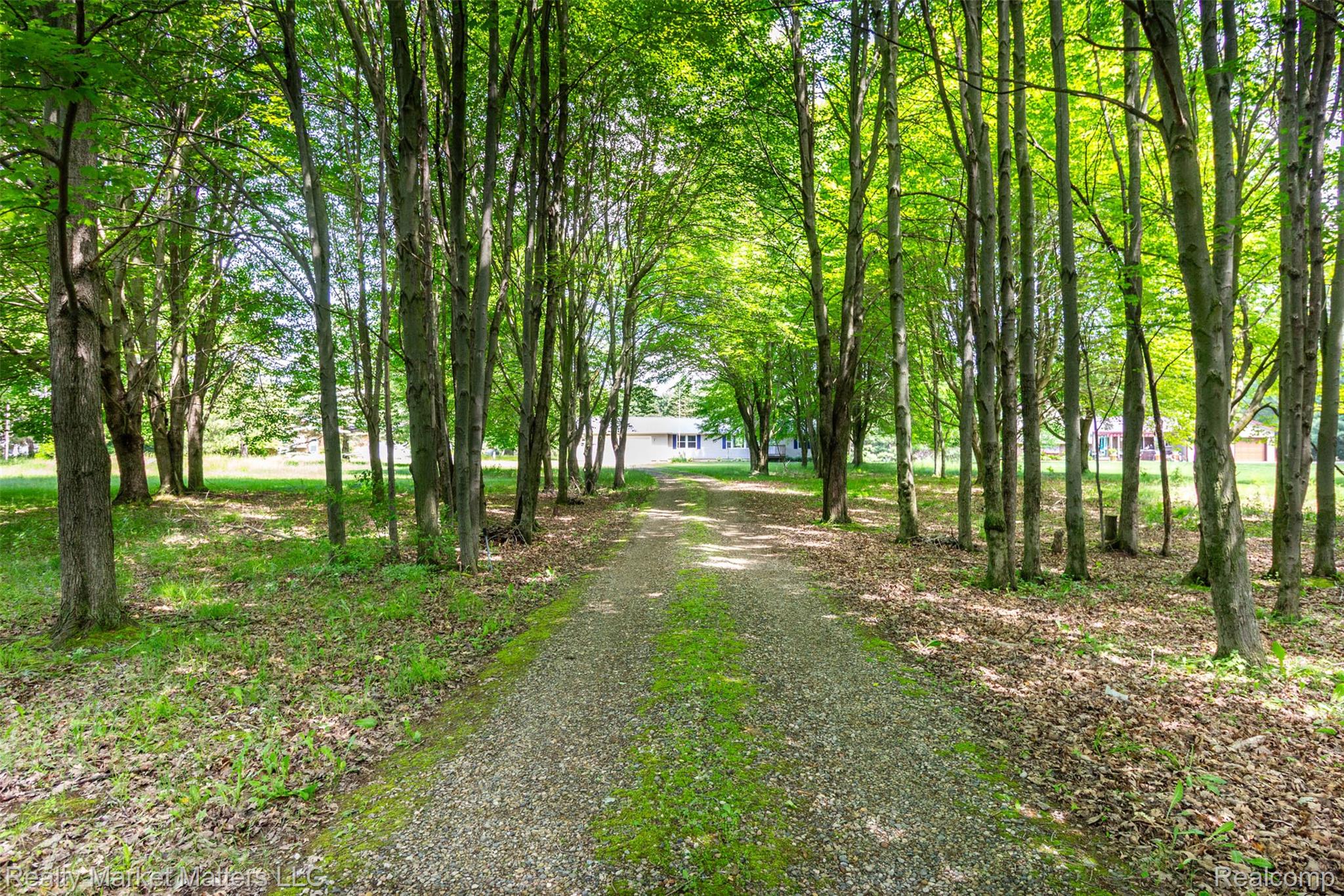 4951 Laur Road North Branch, MI 48461 - Photo 2 of 34 Tree-lined gravel driveway providing access to a white single-story residence