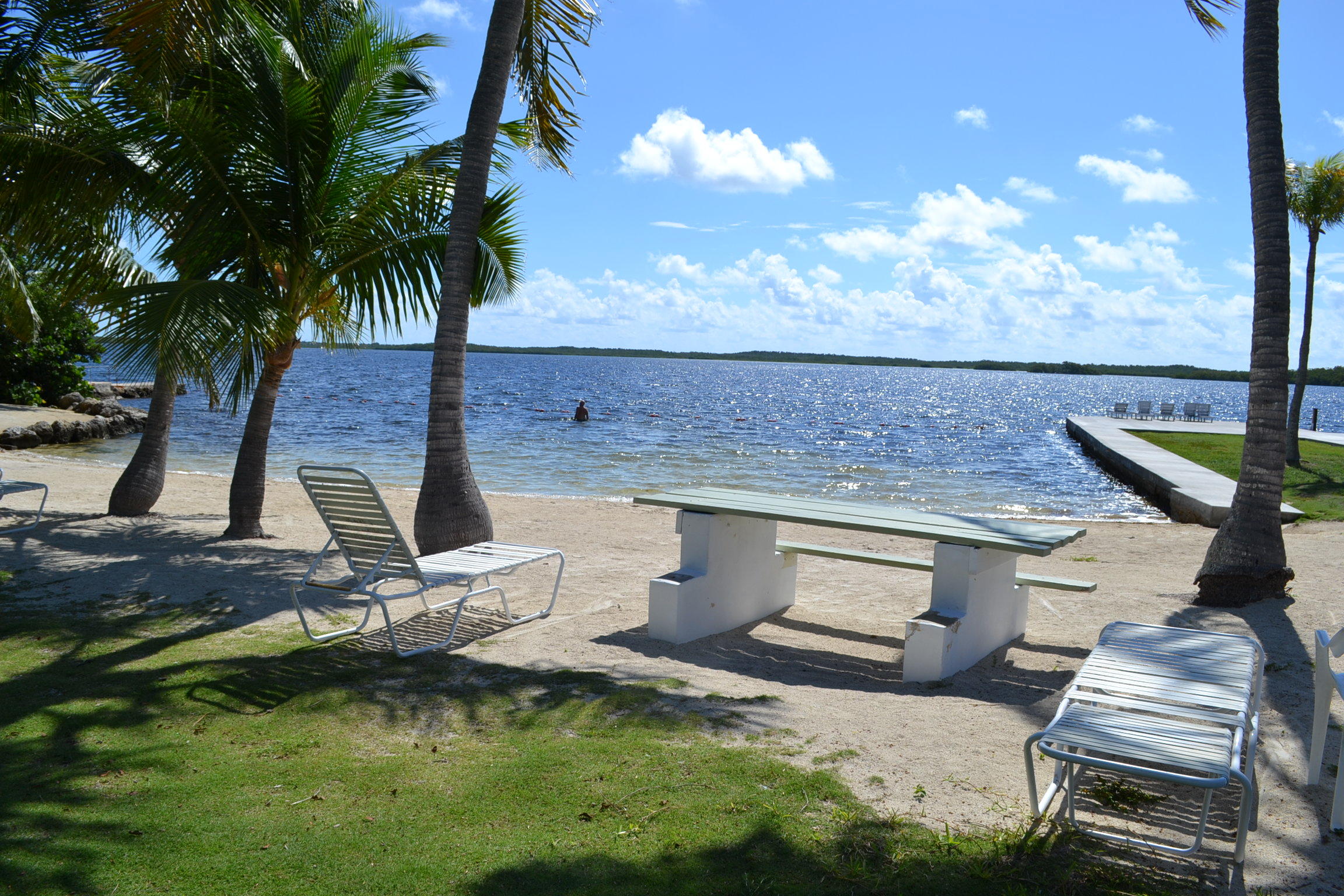 46 Snapper Avenue Key Largo, FL 33037 - Photo 21 of 26 a view of a backyard with swimming pool