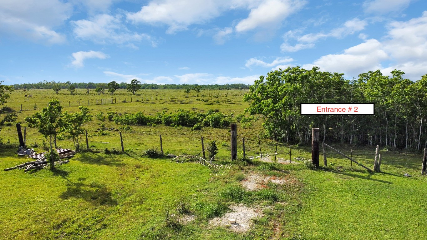 0 County Road 192 Liverpool, TX 77577 - Photo 7 of 8 a view of a park with swings and slides