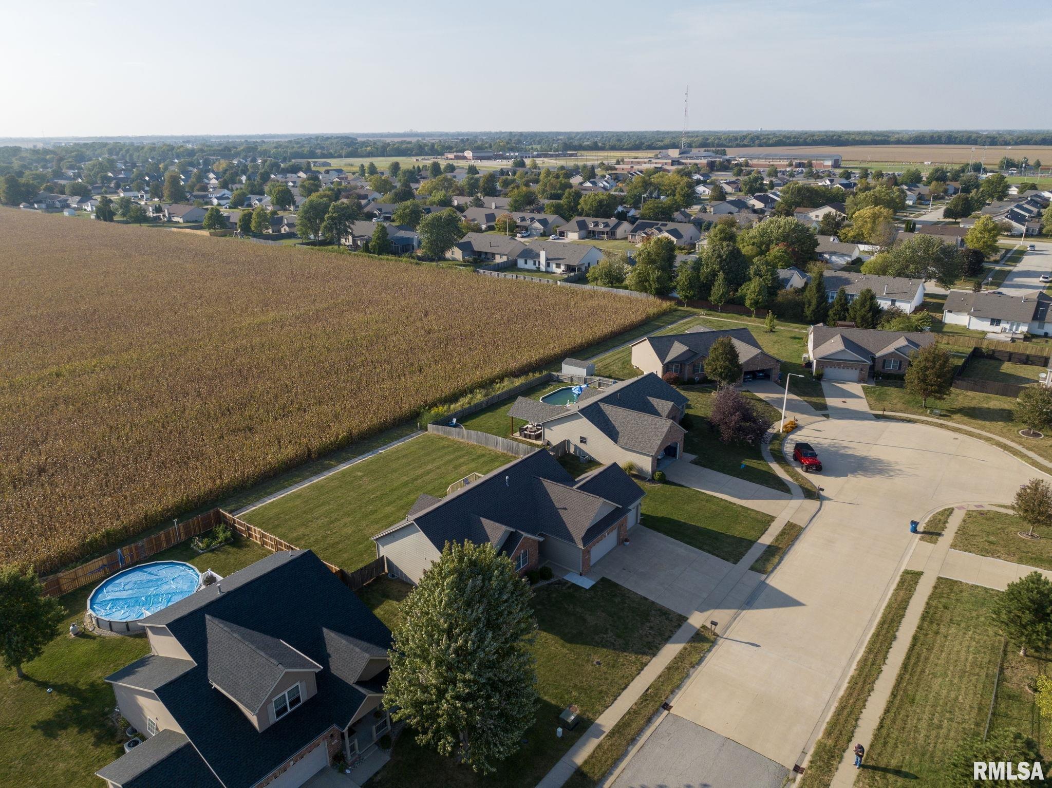 809 Racastle Road Chatham, IL 62629 - Photo 54 of 55 Gallery Image 54
