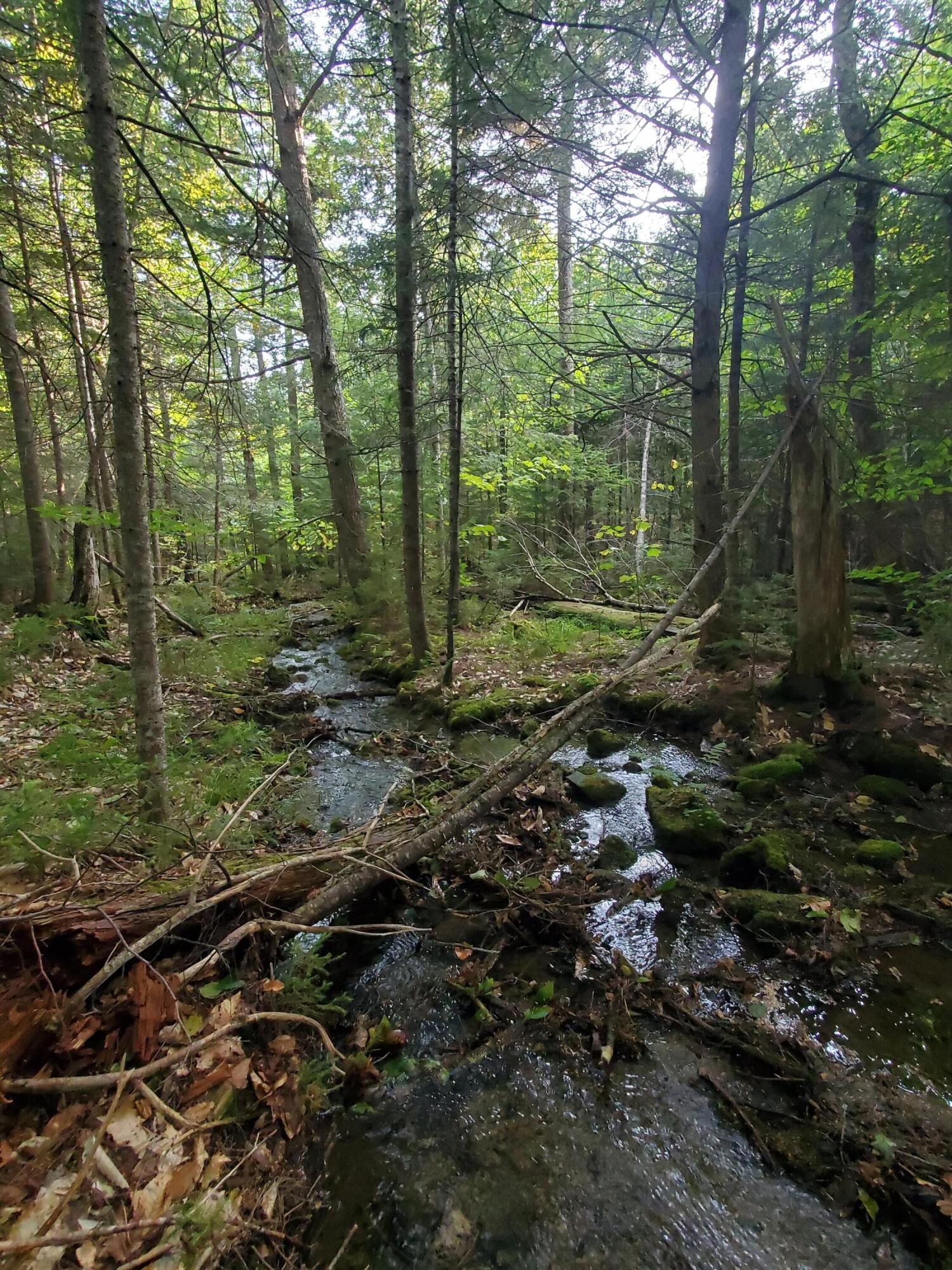 11 South Shore Road Island Falls, ME 04747 - Photo 12 of 14 20230921_162005