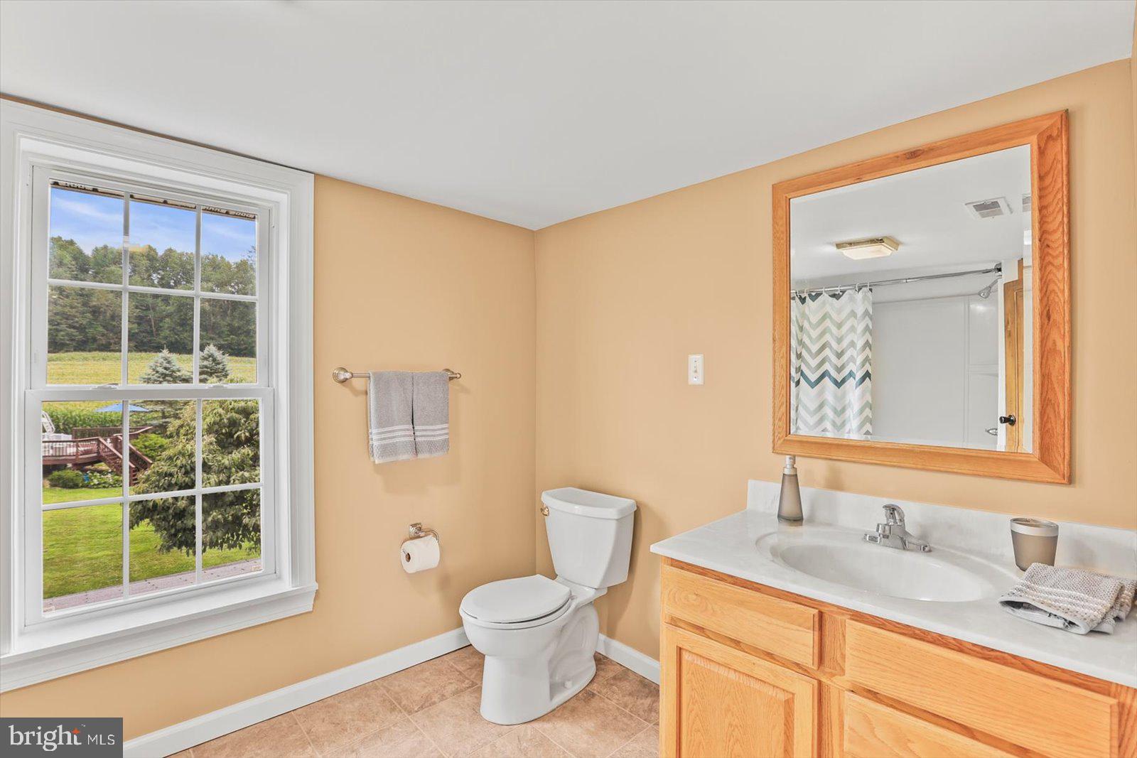 1311 Silver Run Valley Road Westminster, MD 21158 - Photo 39 of 104 Full Bath