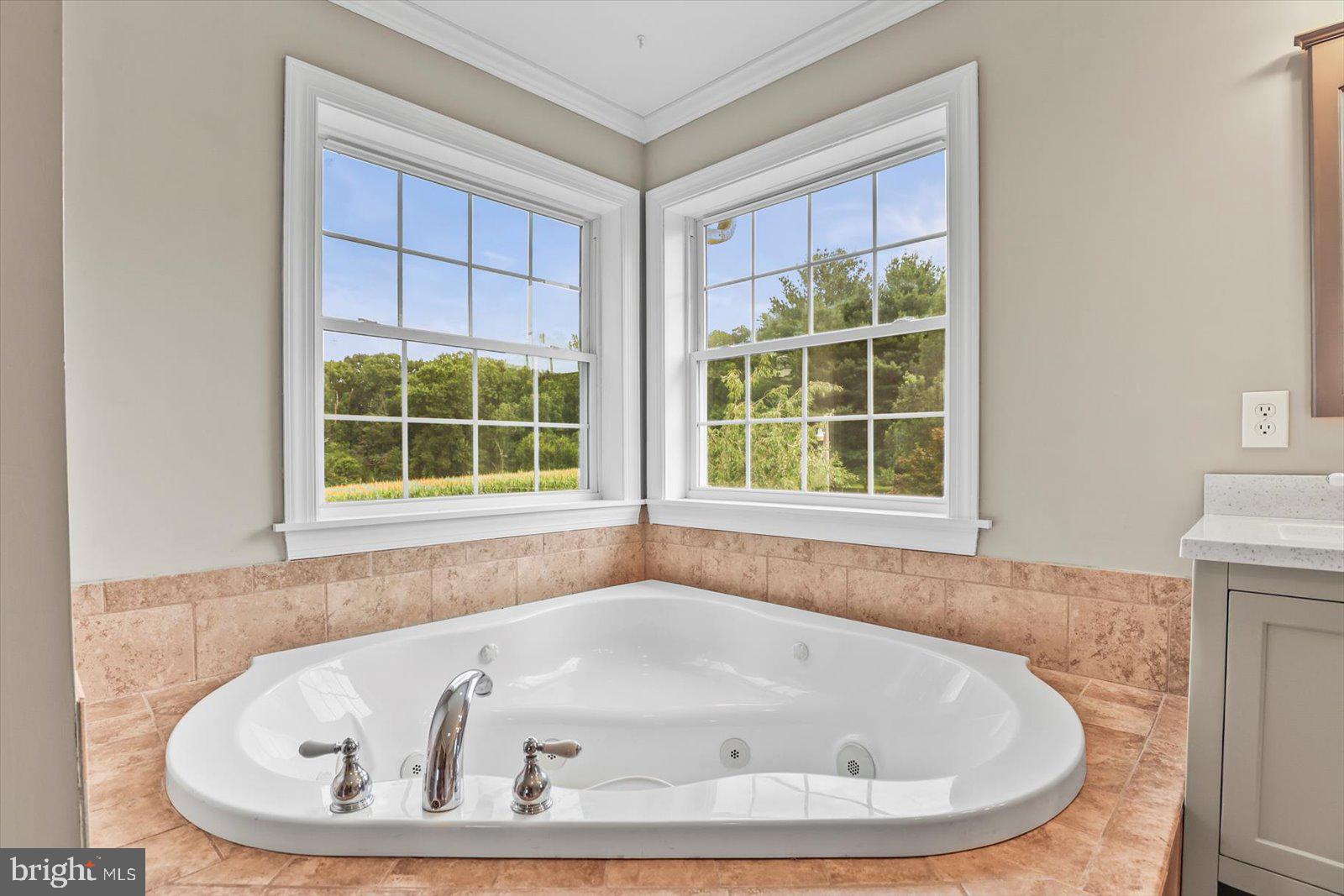 1311 Silver Run Valley Road Westminster, MD 21158 - Photo 53 of 104 Gallery Image 53
