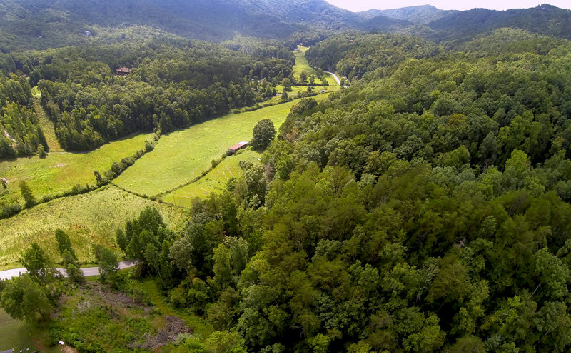 Snake Nation Road Blue Ridge, GA 30513 - Photo 1 of 1 Main View
