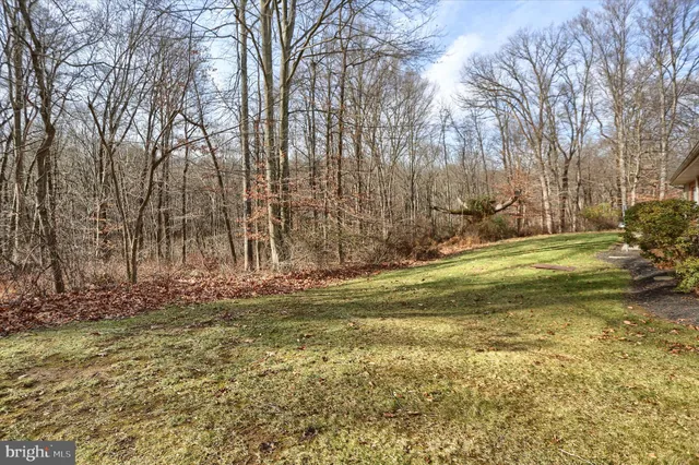 a view of a yard with large trees