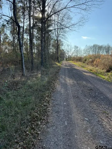 $75,000 | Tbd-b County Road 216, Beckville, TX 75631