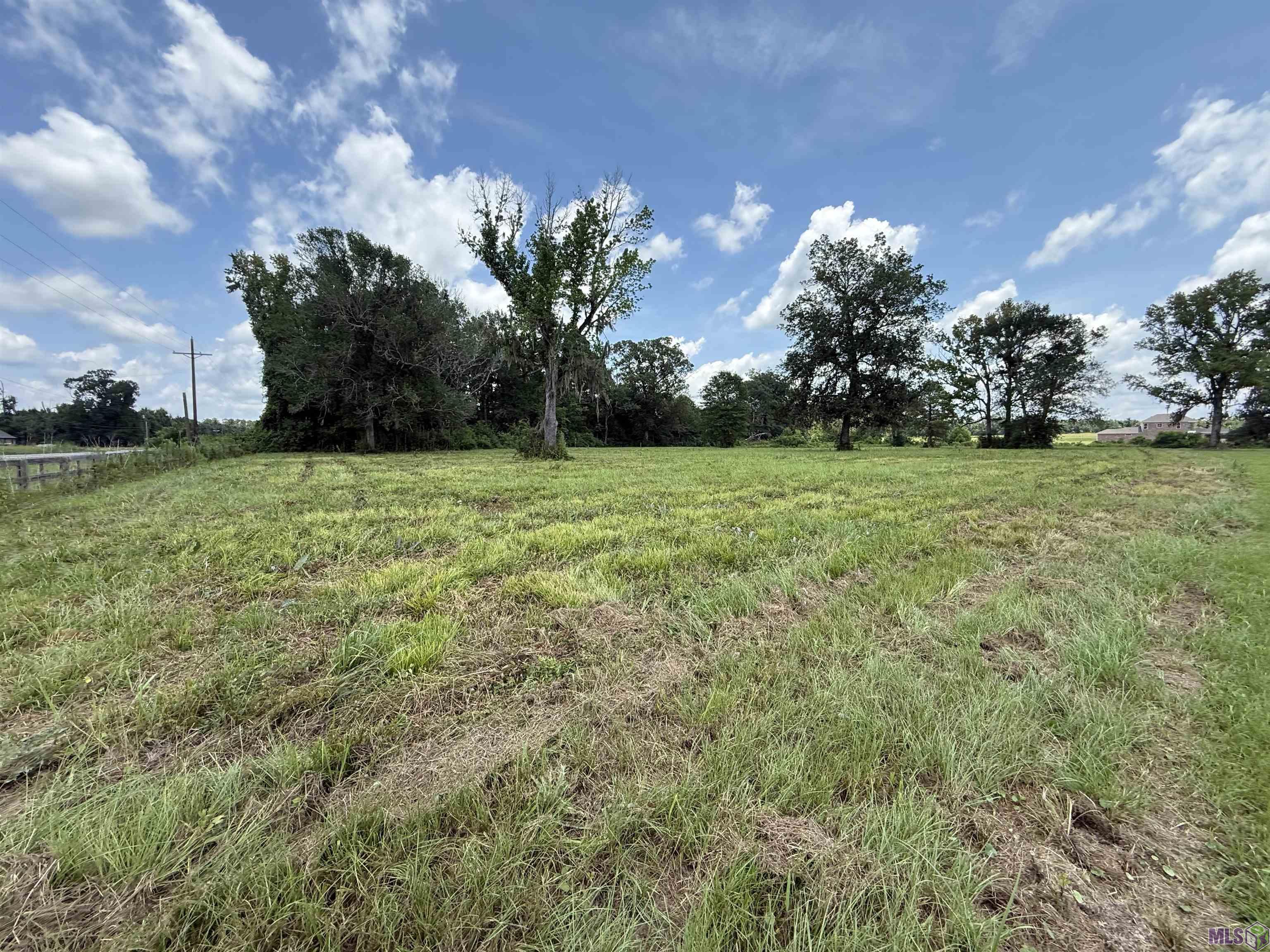 22390 Plank Road Zachary, LA 70791 - Photo 2 of 8