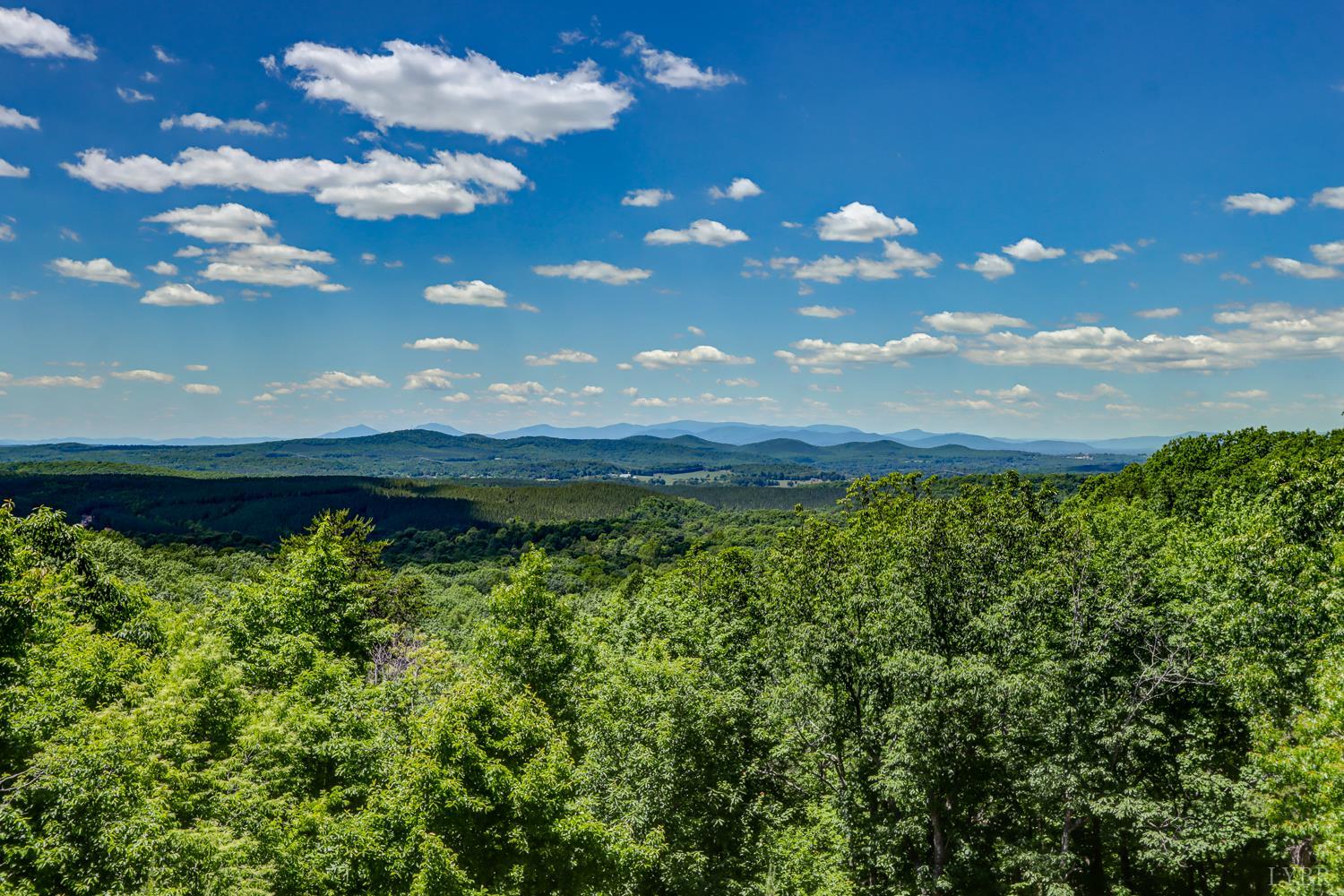 585 Cresthill Road Lynchburg, VA 24504 - Photo 47 of 48