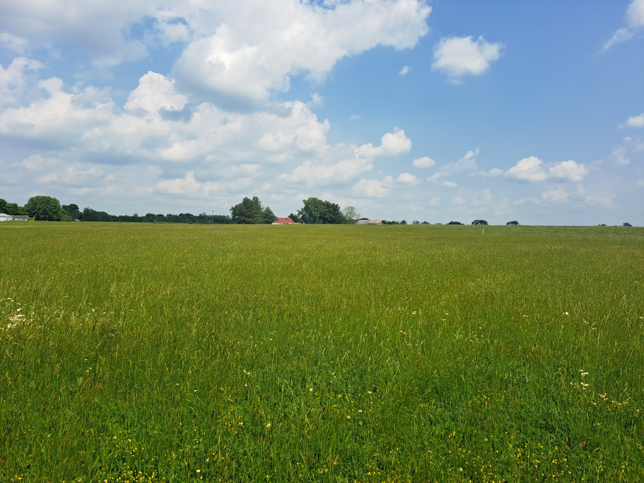 0 White Road Lafayette, TN 37083 - Photo 1 of 1 Gallery Image 1