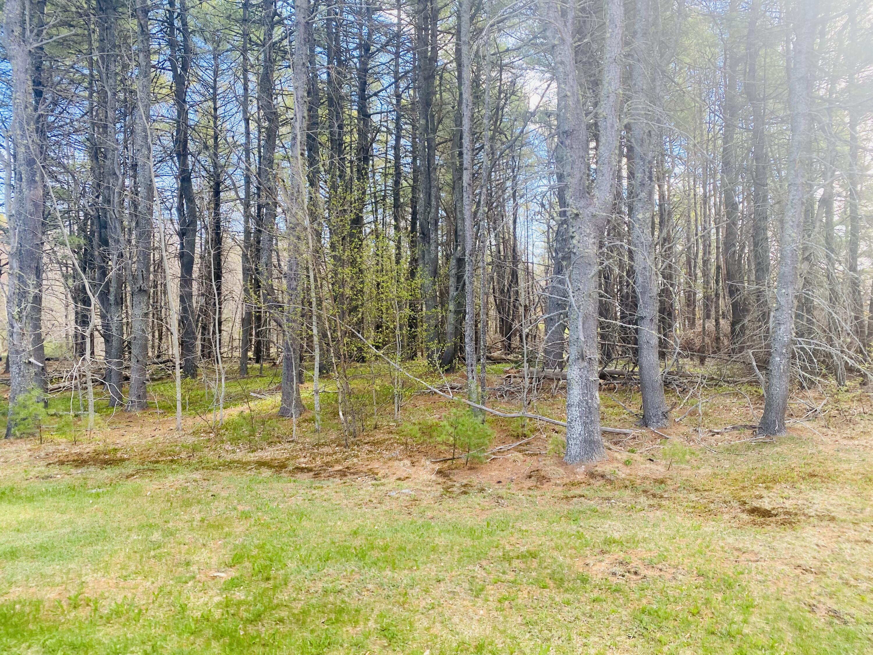 125 Pine Ledge Road Bangor, ME 04401 - Photo 4 of 5
