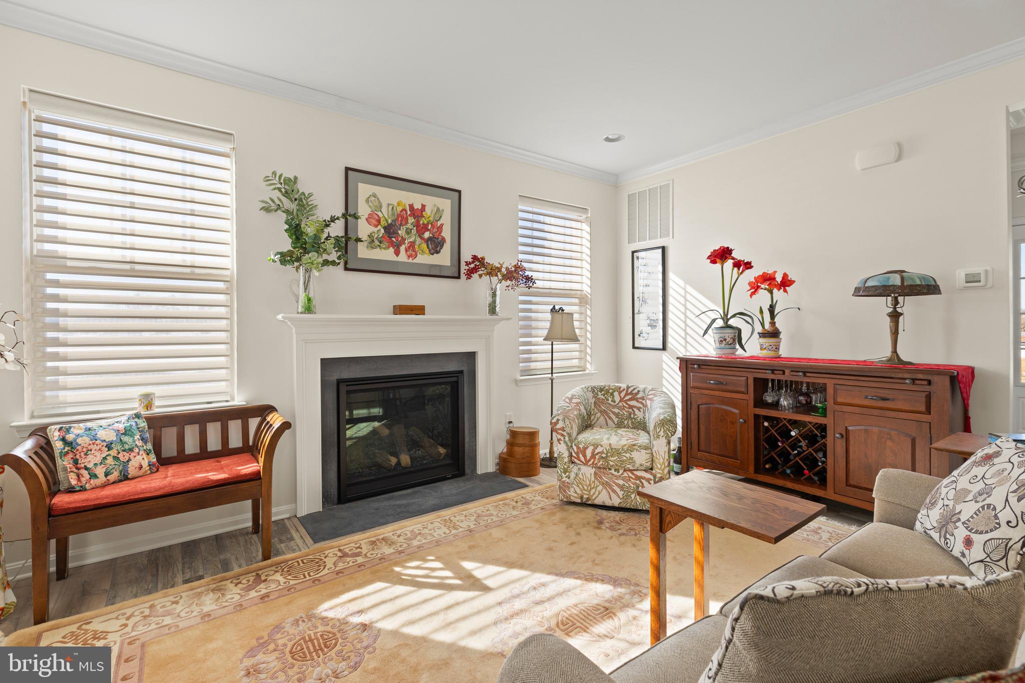 200 Fox Street Milton, DE 19968 - Photo 11 of 67 Bright living room with gas fireplace