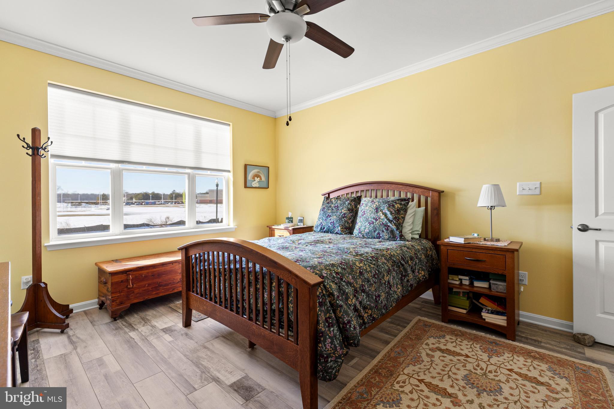 200 Fox Street Milton, DE 19968 - Photo 27 of 67 Primary bedroom with bright windows and ceiling fa