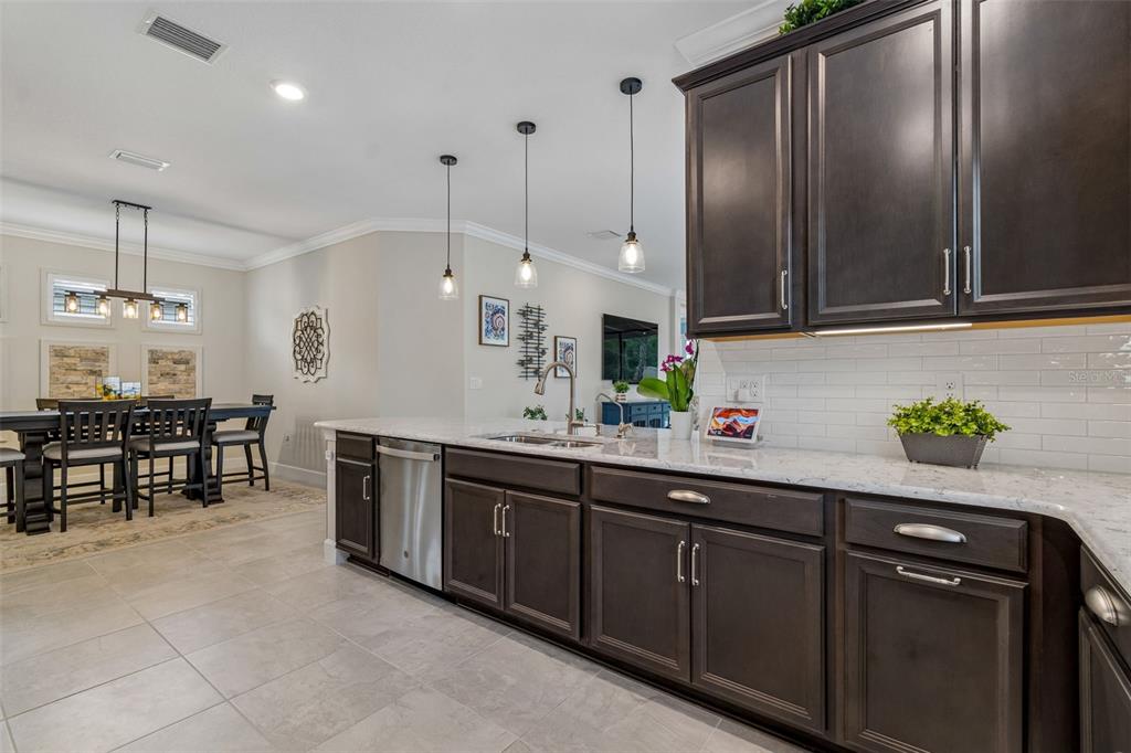 4534 Garofalo Road Wesley Chapel, FL 33543 - Photo 6 of 100 Gallery Image 6