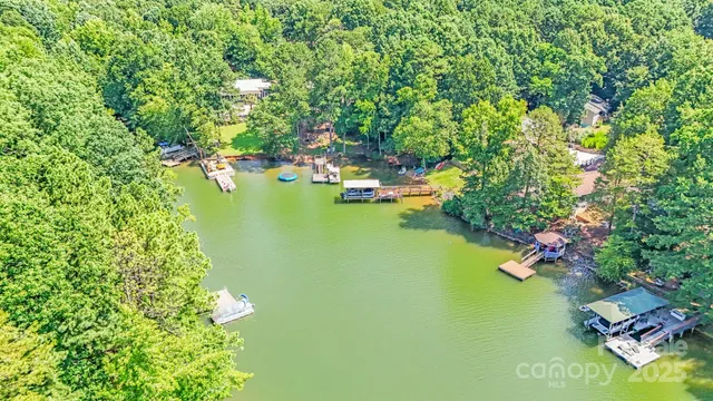 a green field with lots of trees