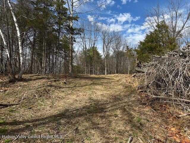 Lot 2 High Falls Road Catskill, NY 12414 - Photo 11 of 17 IMG_3644