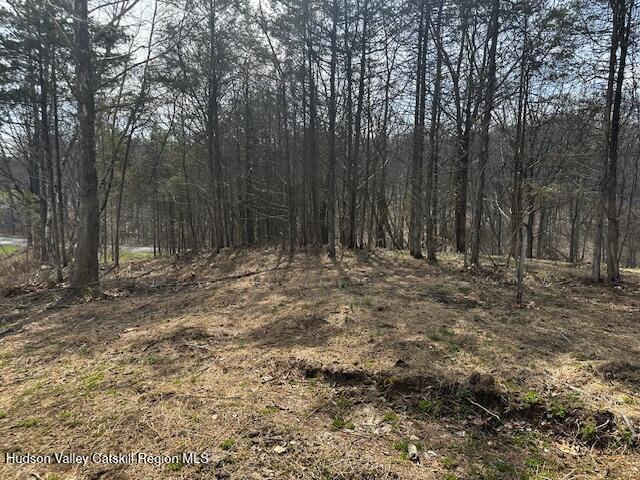 Lot 2 High Falls Road Catskill, NY 12414 - Photo 13 of 17 IMG_3646