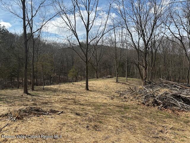 Lot 2 High Falls Road Catskill, NY 12414 - Photo 15 of 17 IMG_3648