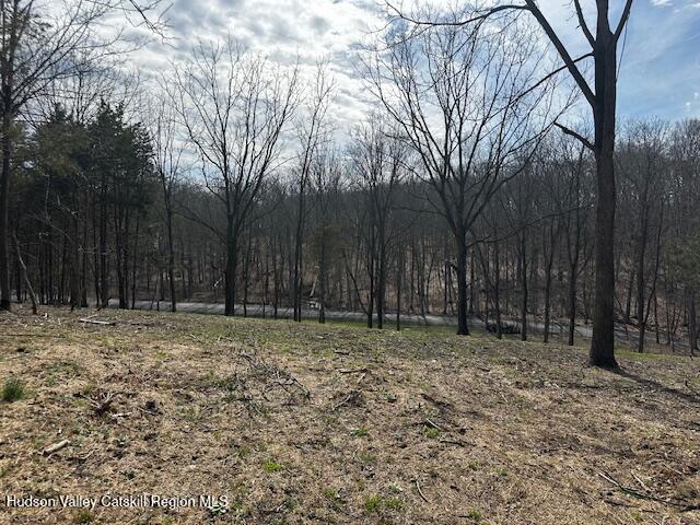 Lot 2 High Falls Road Catskill, NY 12414 - Photo 16 of 17 IMG_3649