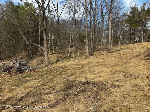 Lot 2 High Falls Road Catskill, NY 12414 - Photo 17 of 17 IMG_3650