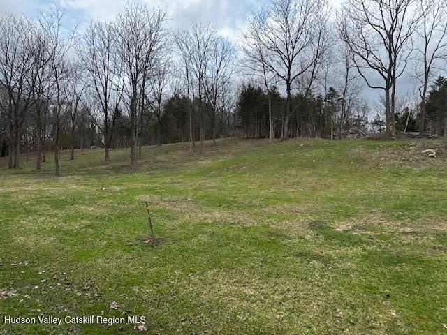 Lot 2 High Falls Road Catskill, NY 12414 - Photo 3 of 17 IMG_3609