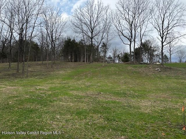 Lot 2 High Falls Road Catskill, NY 12414 - Photo 4 of 17 IMG_3610