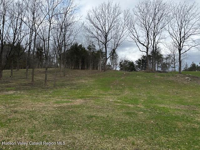 Lot 2 High Falls Road Catskill, NY 12414 - Photo 5 of 17 IMG_3611