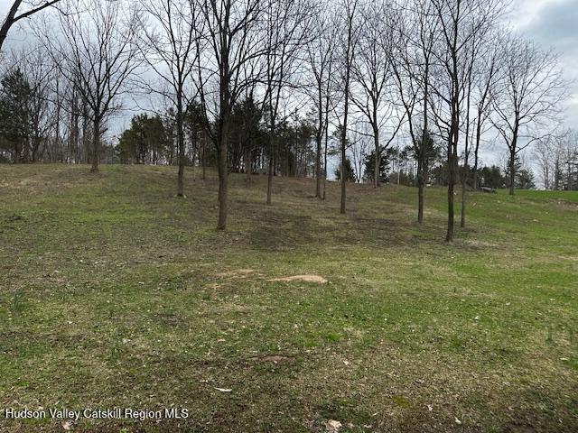 Lot 2 High Falls Road Catskill, NY 12414 - Photo 6 of 17 IMG_3612