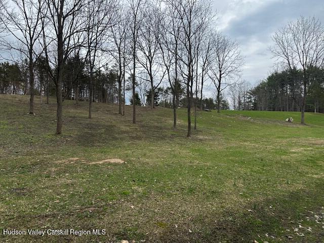 Lot 2 High Falls Road Catskill, NY 12414 - Photo 7 of 17 IMG_3613