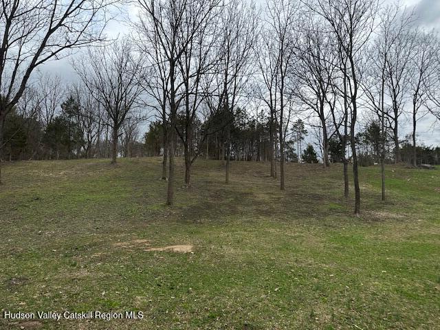 Lot 2 High Falls Road Catskill, NY 12414 - Photo 8 of 17 IMG_3614