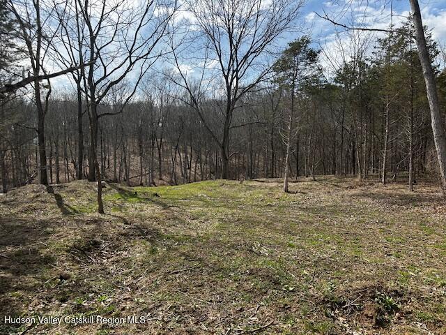 Lot 2 High Falls Road Catskill, NY 12414 - Photo 9 of 17 IMG_3642