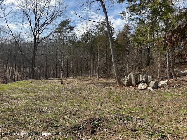 Lot 2 High Falls Road Catskill, NY 12414 - Photo 10 of 17 IMG_3643