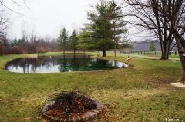20995 30 Mile Road Ray, MI 48096 - Photo 20 of 25 # 15 Far Back Yard.jpg