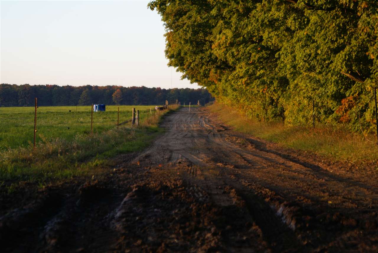 5436 Tyler Road Southeast Kalkaska, MI 49646 - Photo 92 of 99 1872614-91.JPG
