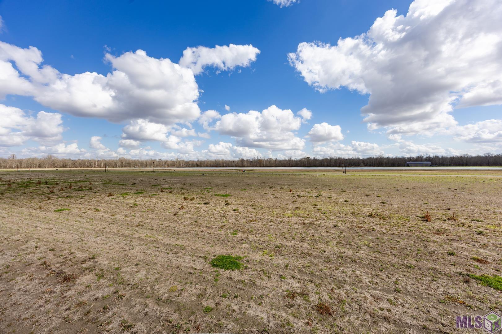 5964 Mill Town Road Brusly, LA 70719 - Photo 7 of 11