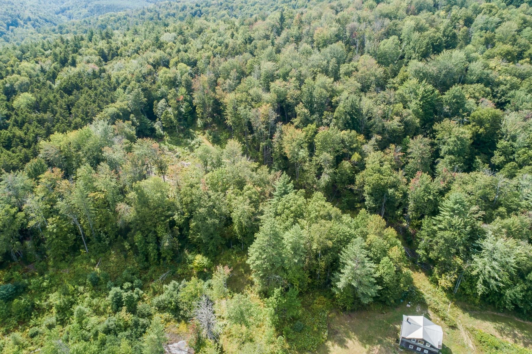 591 MacIntosh Hill Road Bethel, VT 05060 - Photo 4 of 6