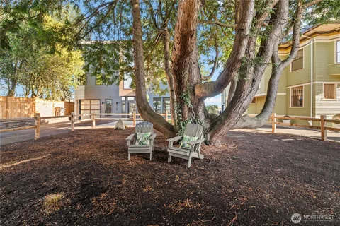 a view of a house with a tree back yard