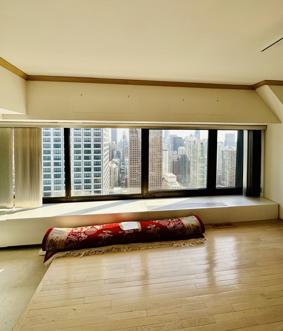 175 East Delaware Place, Unit 4916 Chicago, IL 60611 - Photo 4 of 33