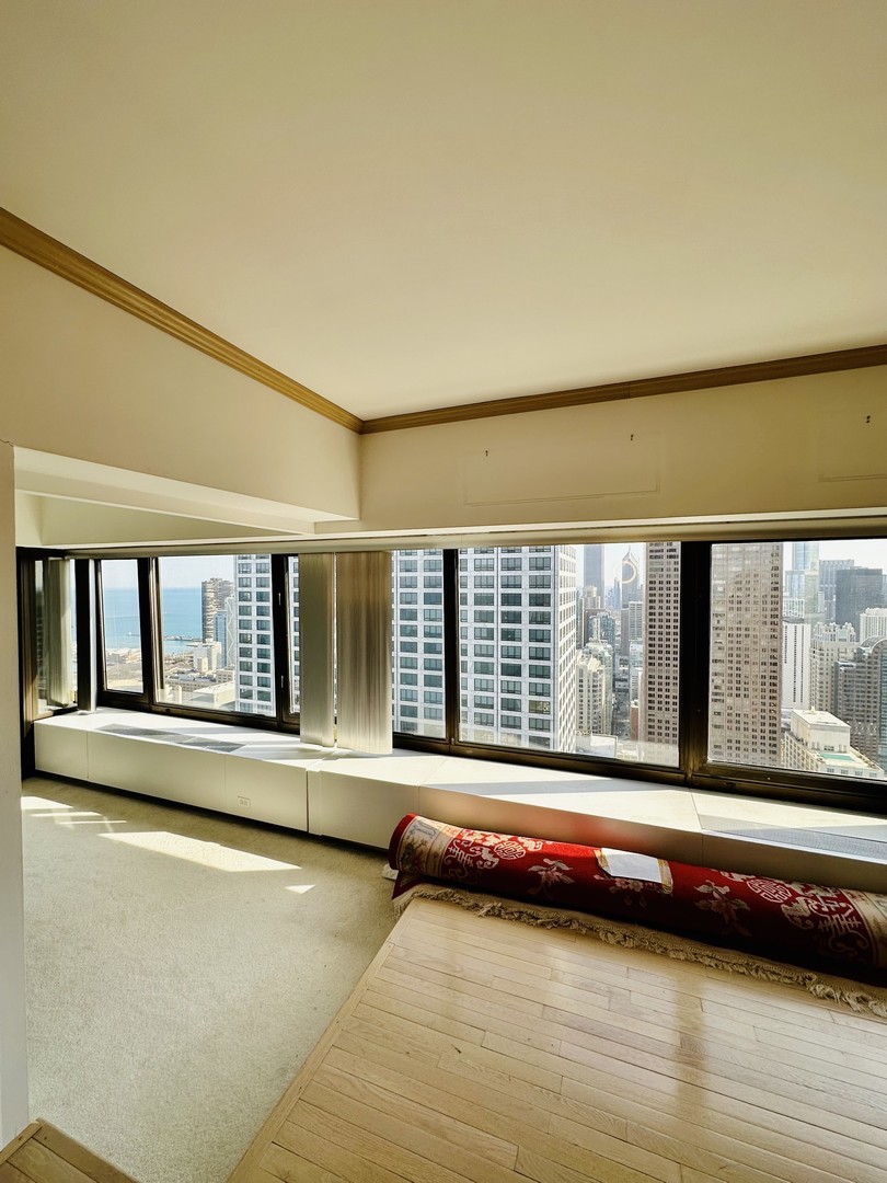 175 East Delaware Place, Unit 4916 Chicago, IL 60611 - Photo 6 of 33