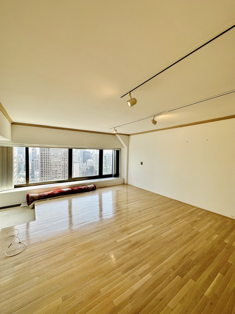 175 East Delaware Place, Unit 4916 Chicago, IL 60611 - Photo 7 of 33