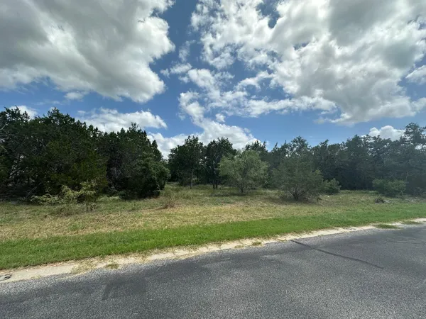 a view of grassy field with trees