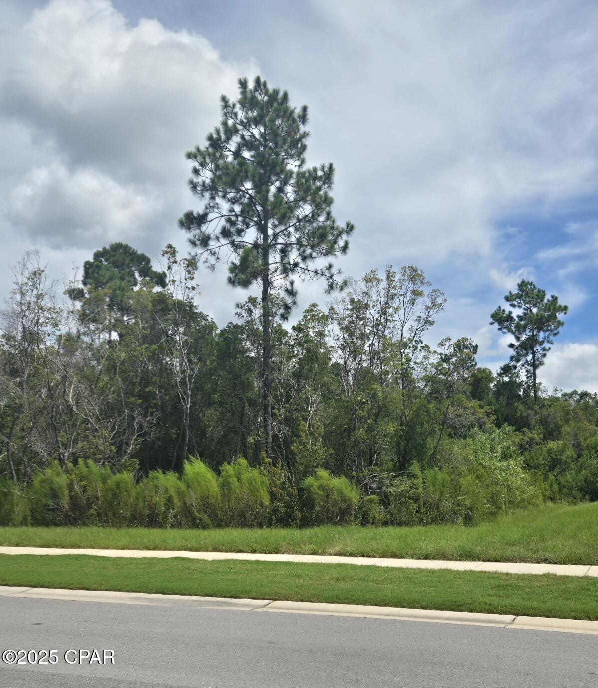 8703 Conch Shell Court Panama City Beach, FL 32413 - Photo 6 of 42