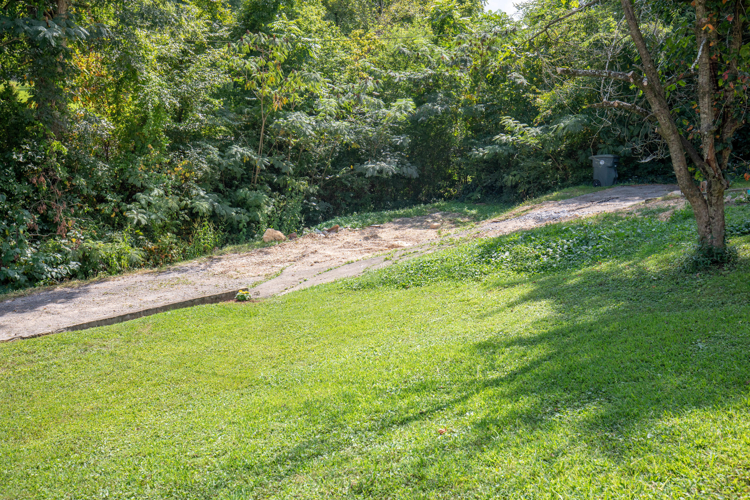 727 Talley Road Chattanooga, TN 37411 - Photo 5 of 26 B5D_0130