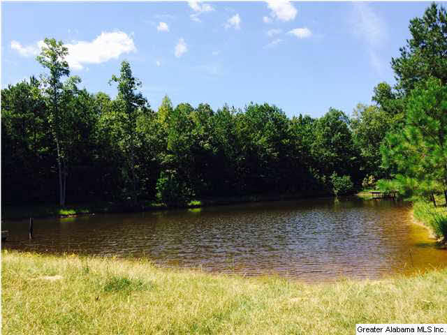 2335 Holmans Cross Road Sylacauga, AL 35150 - Photo 14 of 16