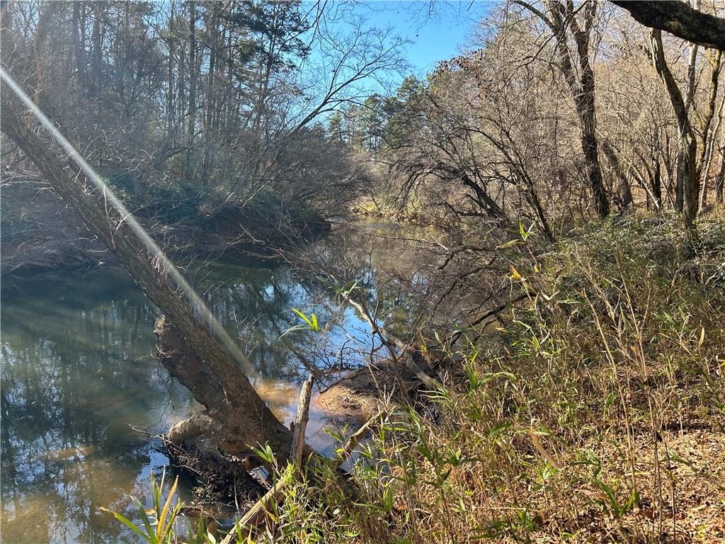 0 Twin River Orchard Road Demorest, GA 30535 - Photo 18 of 63
